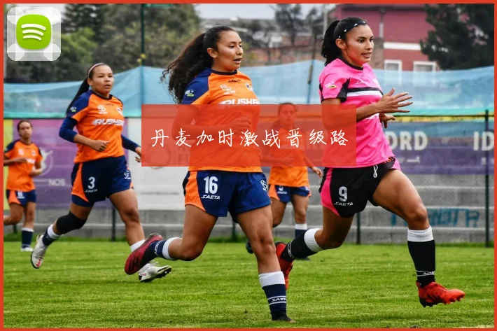 丹麦加时激战晋级路