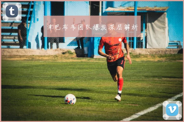 津巴布韦团队爆发深层解析