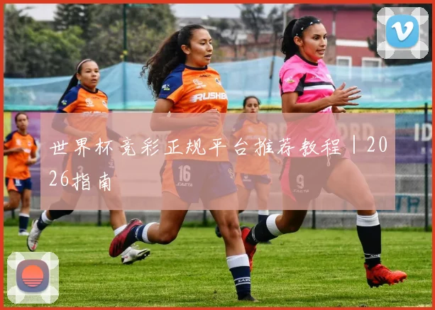 世界杯竞彩正规平台推荐教程｜2026指南