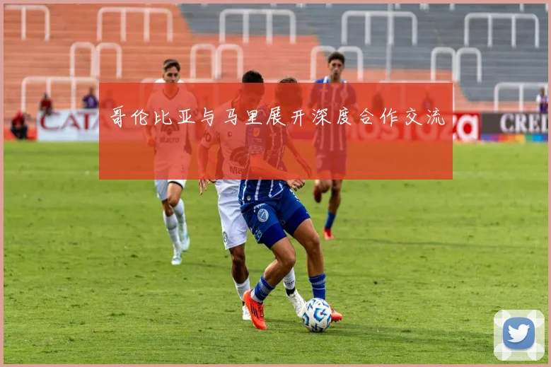 哥伦比亚与马里展开深度合作交流