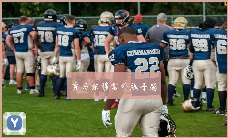 贾马尔穆雷外线手感