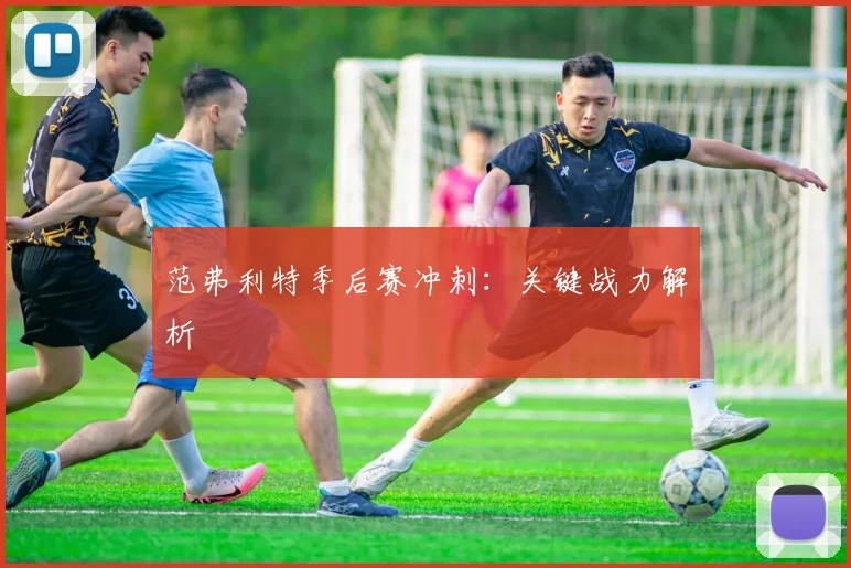 范弗利特季后赛冲刺：关键战力解析