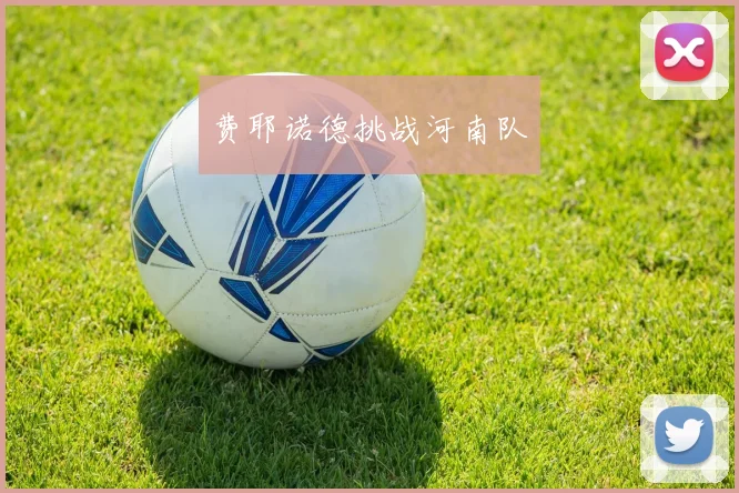 费耶诺德挑战河南队