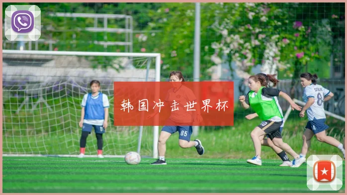 韩国冲击世界杯
