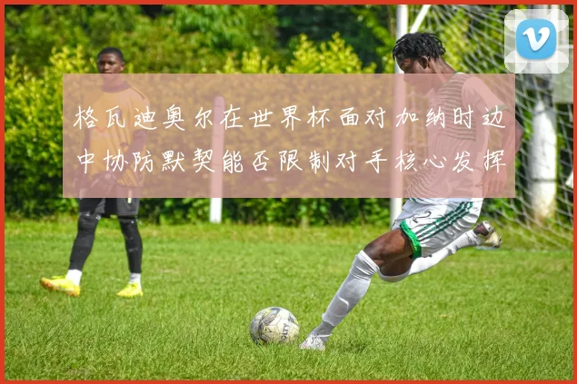 格瓦迪奥尔在世界杯面对加纳时边中协防默契能否限制对手核心发挥
