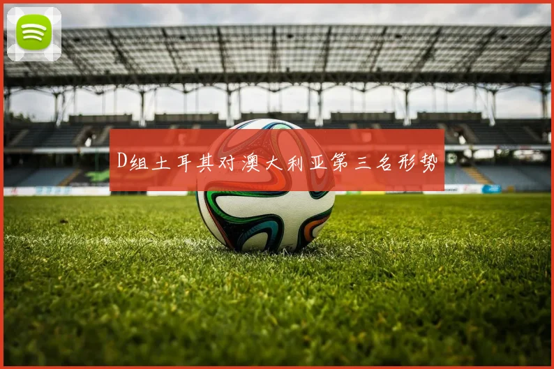 D组土耳其对澳大利亚第三名形势