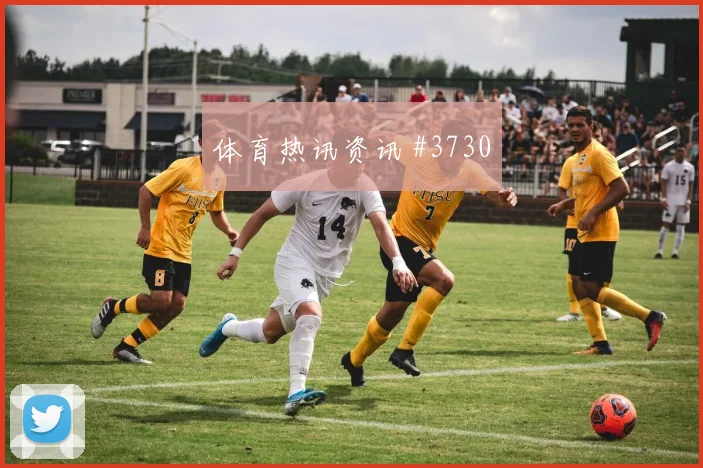 D组土耳其对澳大利亚第三名形势