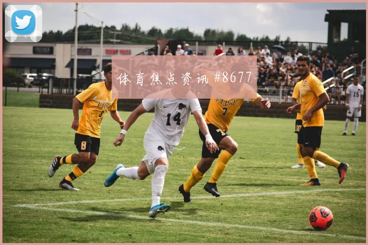 浙江队先丢后追阿尔瓦雷斯破门被吹全场沸腾