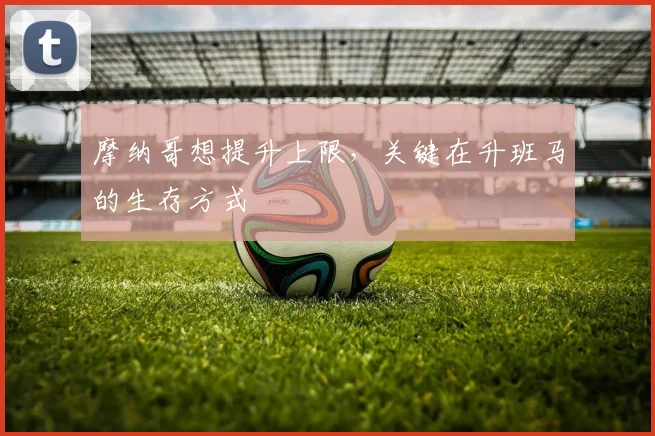 摩纳哥想提升上限,关键在升班马的生存方式