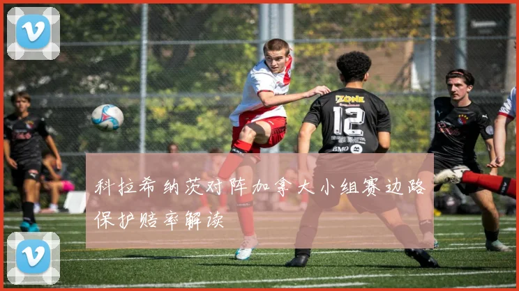 科拉希纳茨对阵加拿大小组赛边路保护赔率解读