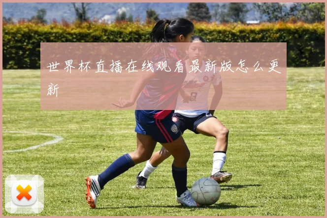 世界杯直播在线观看最新版怎么更新